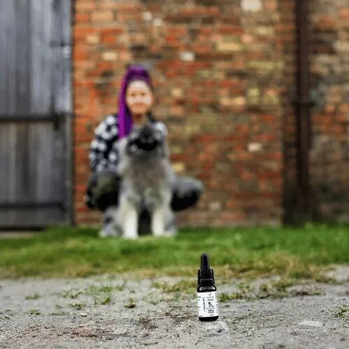 Olejek CBD dla Psa i Kota 5% 500 mg | Weterynaryjny | Bez THC | Bezsmakowy