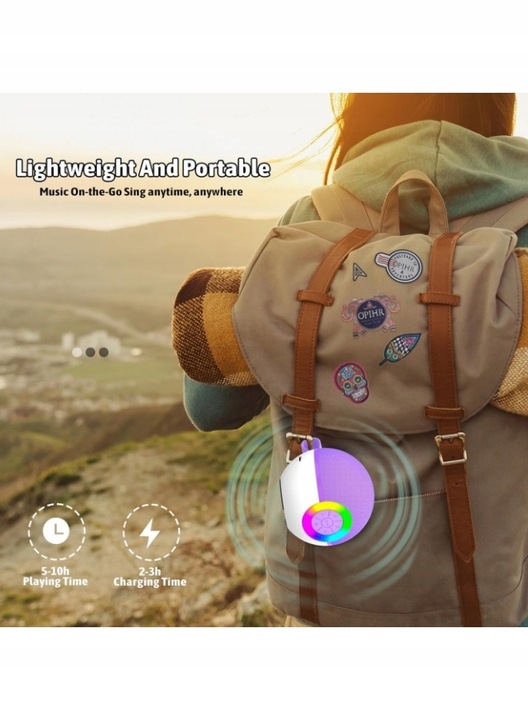 BEZPRZEWODOWY EFEKT ŚWIETLNY KARAOKE STEREO + 2 MIKROFONY