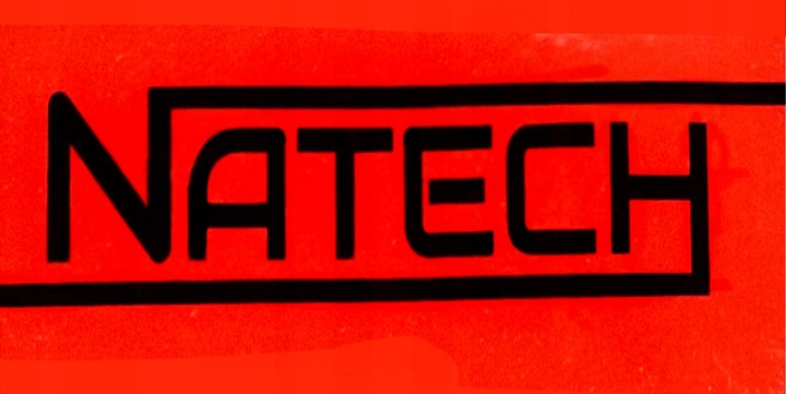 PIŁA AKUMULATOROWA ELEKTRYCZNA RĘCZNA MINI 6'' 2x AKUMULATOR + 2x ŁAŃCUCH