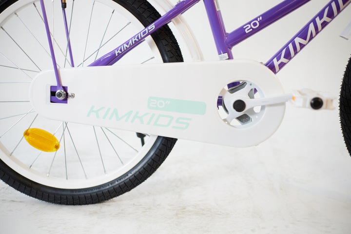 Rower dziecięcy 20 cali dla dziewczynki koszyk bagażnik frędzle 5-9 lat fio