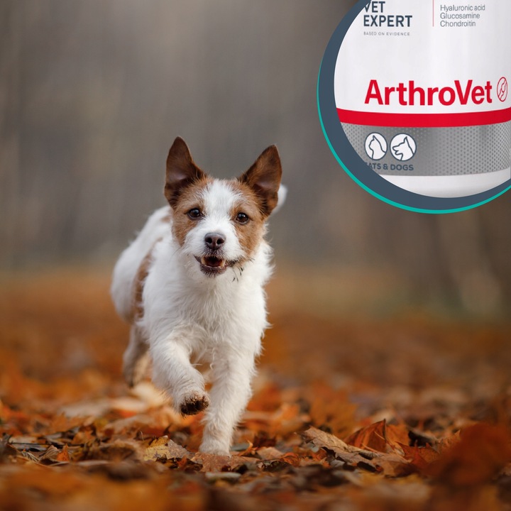 Preparat dla psów i kotów na stawy Vet Expert Arthrovet 60 tabletek