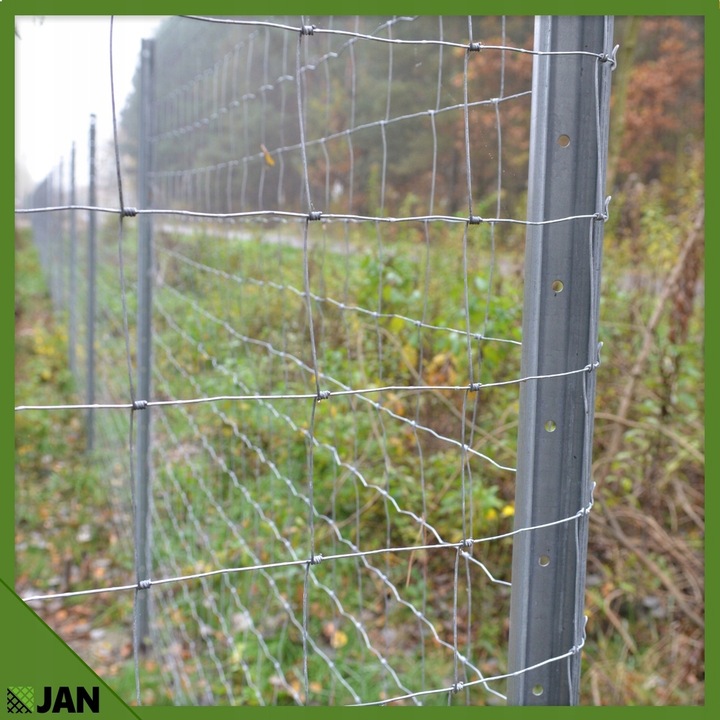 SIATKA LEŚNA 180cm ZAGĘSZCZONA 50m WIRE NET MODEL 180/24/15 L GRATIS GĘSTA