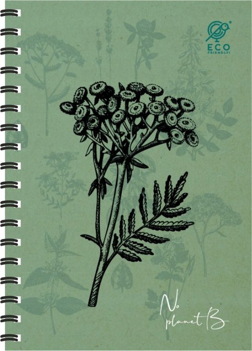 5x Kołozeszyt A4/80 kratka spirala GRUBA Podkładka