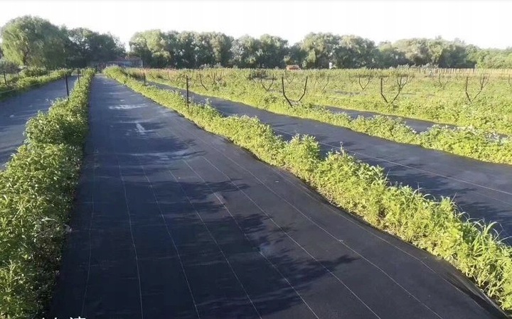 Agrowłóknina czarna 110x5000 cm mata antychwastowa