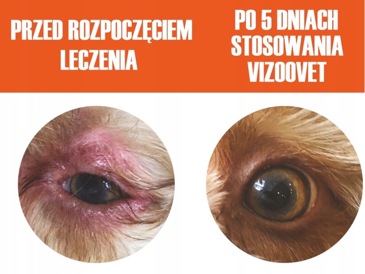 VIZOOVET PROTECT - Krople do oczu dla psa