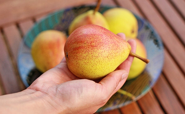 Preparat grzybobójczy SYLLIT Parch Jabłoń Grusza wiśnie czereśnie 65 WP 45g