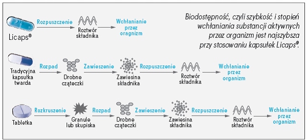Kolagen Arthro Sprint Stawy ODBUDOWA CHRZĄSTKI 60k