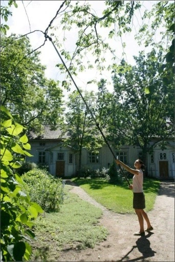 Sekator teleskopowy Fiskars UP86 + Piła UP80