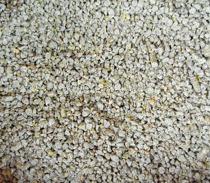 PASZA DLA KUR NIOSEK 25KG KRUSZONKA MIESZANKA DLA DROBIU WOLNYWYBIEG