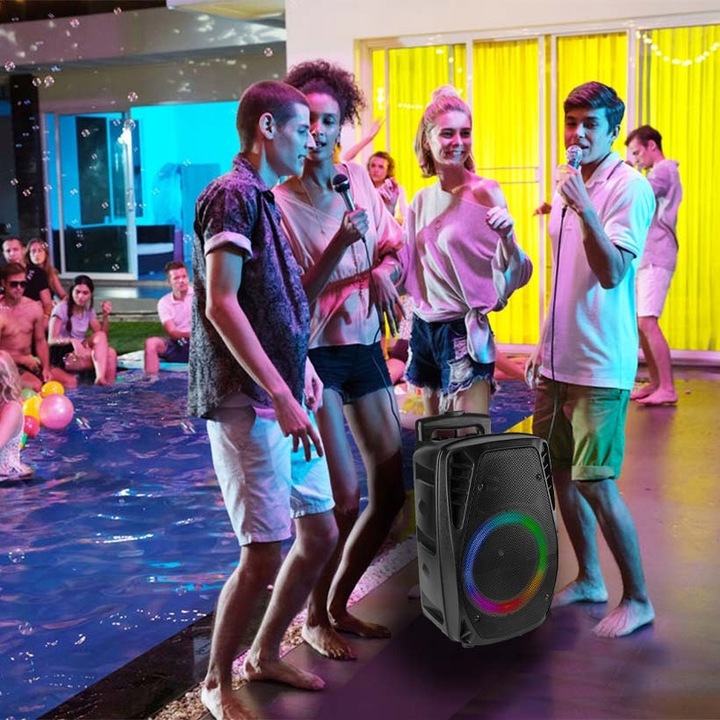 Głośnik BLUETOOTH karaoke 300W MIC PILOT BATERIA