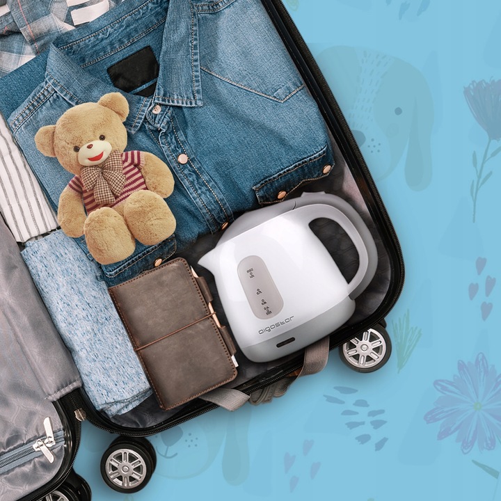 Maly Czajnik Elektryczny 1L Aigostar Juliet 1100 W srebrny/szary