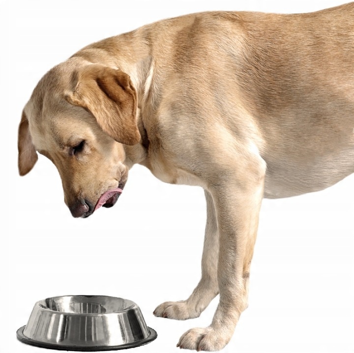 BRIT CARE Hypoallergenic Weight Loss Rabbit 3kg