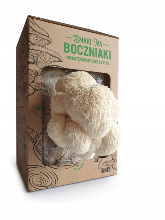 Zestaw do uprawy grzybów SNB soplówka jeżowata