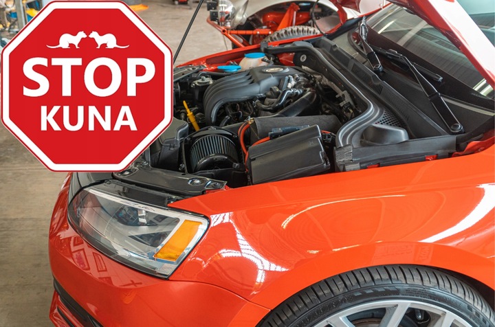 ODSTRASZACZ KUN SKUTECZNY NA ALLEGRO ŚRODEK NA KUNY DO SAMOCHODU