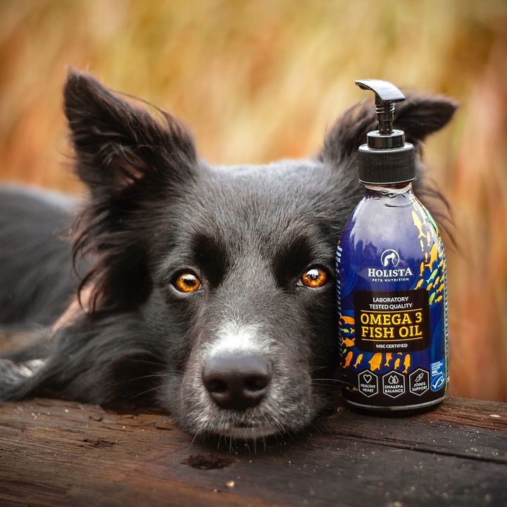 HOLISTA Olej OMEGA 3 Fish Oil dla Psa KOTA KWASY OMEGA EPA DHA BARF 100ml