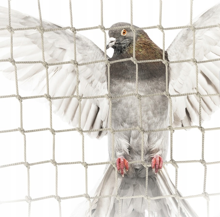 ZESTAW SIATKA NA BALKON 6x3m NA GOŁĘBIE PRZECIW PTAKOM MONTAŻ BEZ WIERCENIA