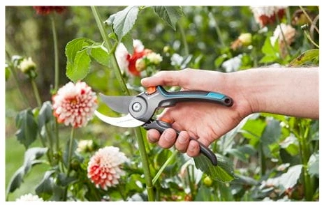 Sekator nożyce ogrodowy GARDENA Classic B/S-M