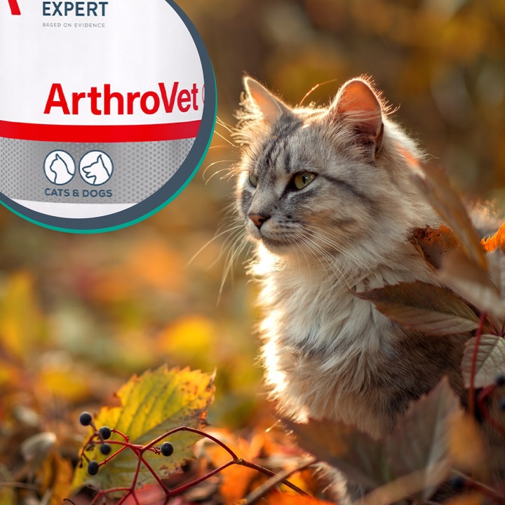 Vet Expert ARTHROVET - zestaw wspomagający prawidłowe funkcjonowanie stawów