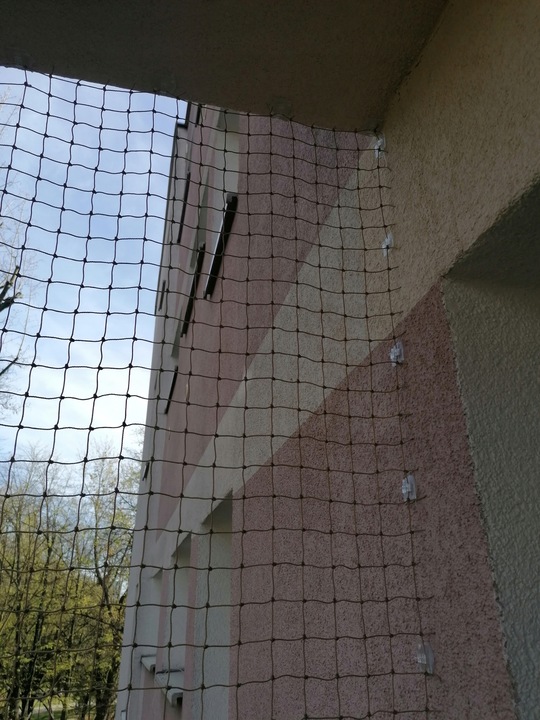 ZESTAW GRUBA SIATKA DLA KOTA NA ZACZEPY 2 x 1.5 m OCZKO 40 mm BEZ WIERCENIA