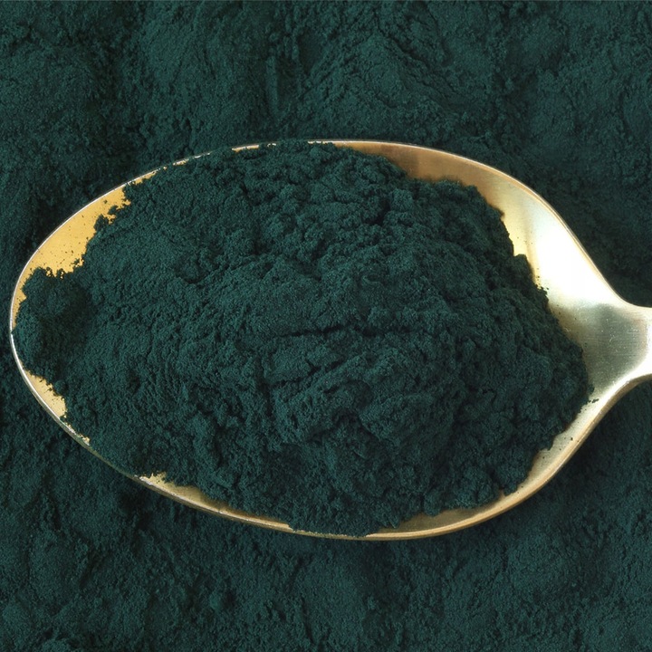 SPIRULINA Twój Cel To 500mg - ODKWASZENIE ODCHUDZANIE WITALNOŚĆ 100 TAB.