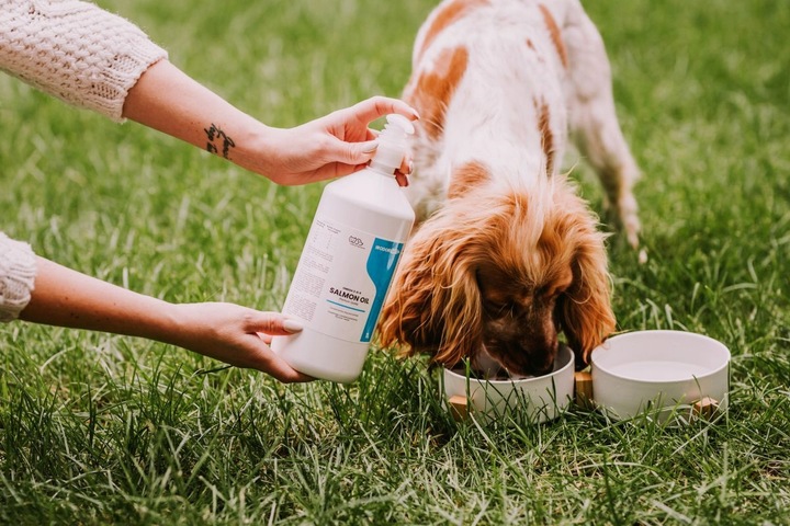 OLEJ SZKOCKI Z ŁOSOSIA DLA PSA I KOTA Salmon Oil Omega 3 Omega 6 1000 ml