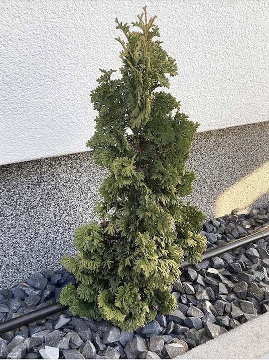 LINIA KROPLUJĄCA XXL 100m + 100el NAWODNIENIE KROPELKOWE WĄŻ KROPELKUJĄCY