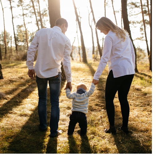 Olej z ostropestu - 500 ml