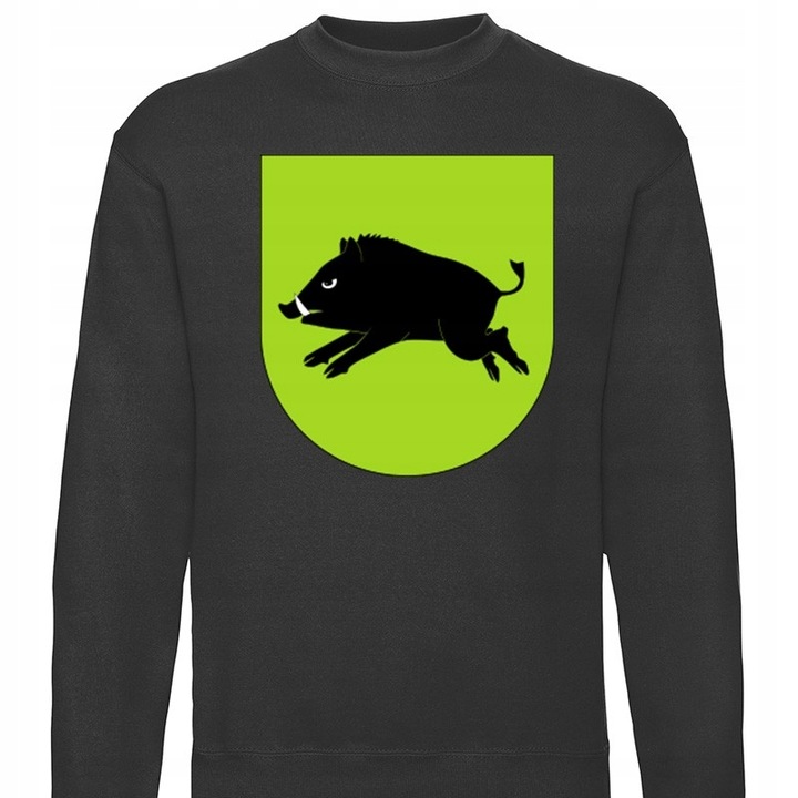 bluza B-CZ gmina Kiernozia