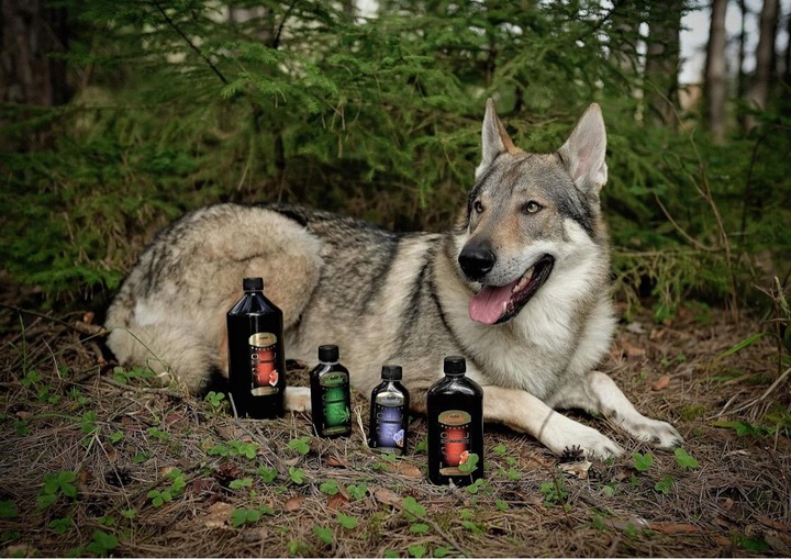 VITAR Veterinae Olej z Ostropestu 1000 ml - bogate źródło E witaminy+Omega