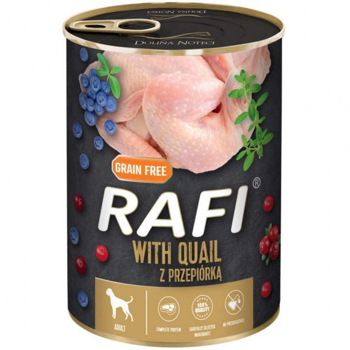 Dolina Noteci RAFI mix smaków 24 x 400g