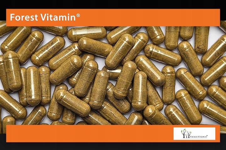 FOREST ASHWAGANDHA EKSTRAKT 700mg 9% NAJMOCNIEJSZA