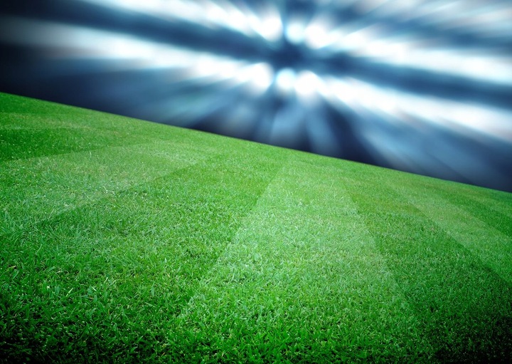 CHWASTOX COMPLEX 260 EW 1L CHWASTY TRAWNIKI BOISKA