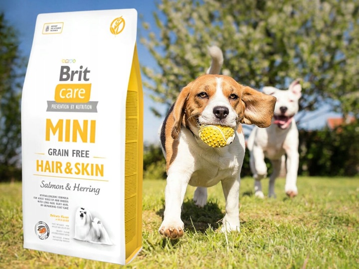 Karma dla psa BRIT Łosoś ze śledziem 7 kg