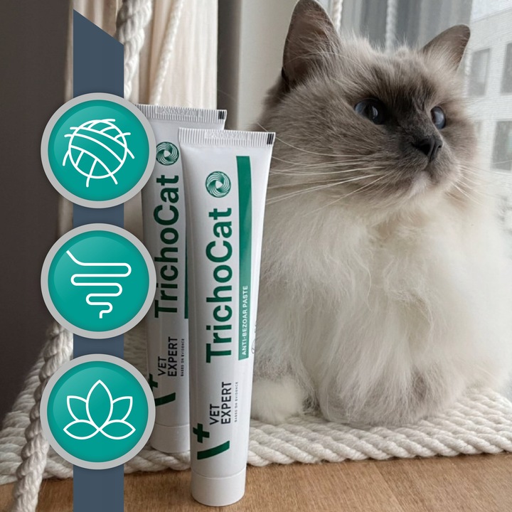 Pasta odkłaczająca dla kotów preparat odkłaczanie Vet Expert Trichocat 120g