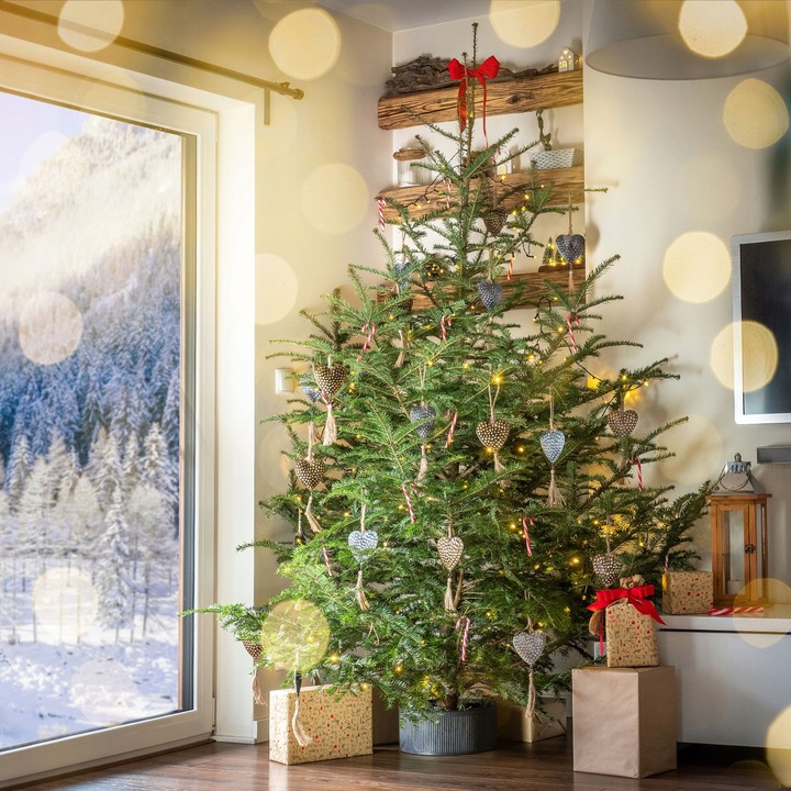 STOJAK POD CHOINKĘ CHOINKI POJEMNIK CHOINKOWY 5 L NA DRZEWKO 1,5 m CZARNY