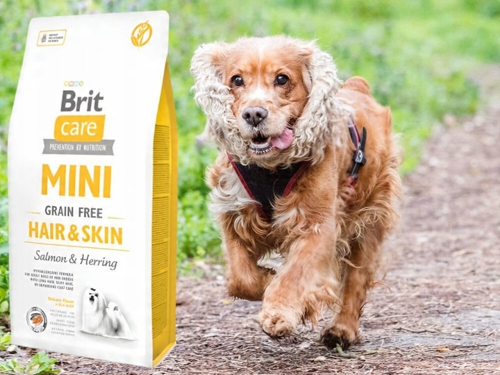 Karma dla psa BRIT Łosoś ze śledziem 7 kg