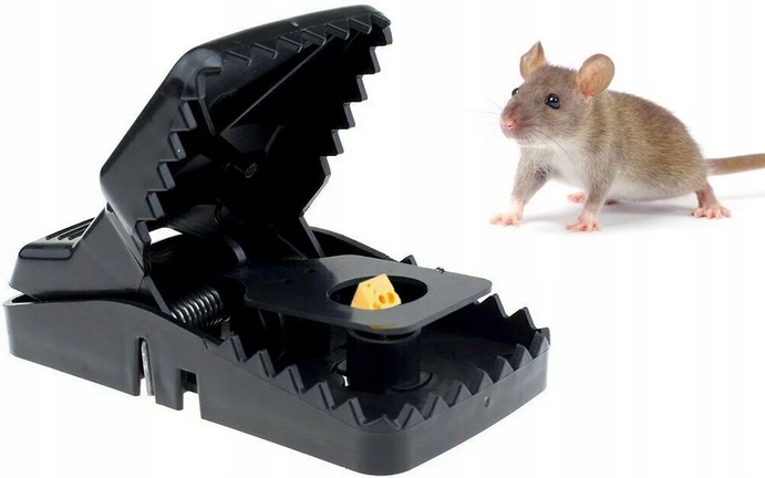 PUŁAPKA NA MYSZY MOCNY ZATRZASK GILOTYNA ZESTAW 6 SZTUK !!!! ŁAPKA NA MYSZY