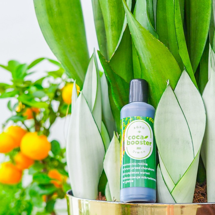 CocaBooster - STYMULATOR WZROSTU - Nawóz Odżywka Specjalistyczny Preparat