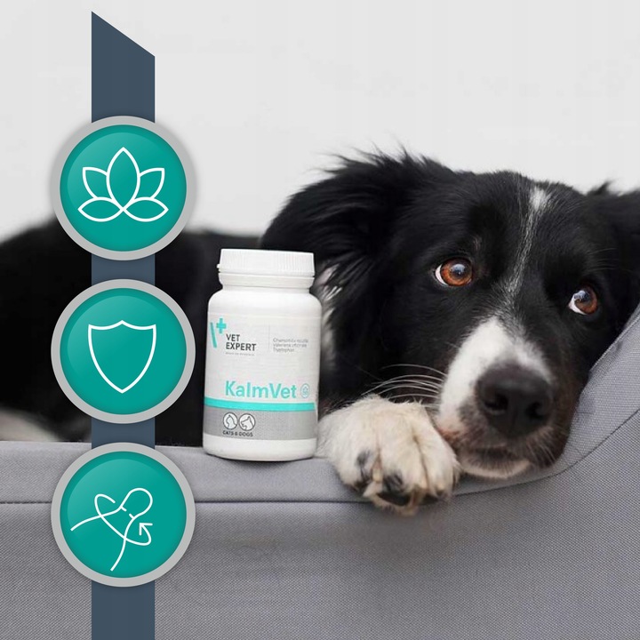 Preparat dla psów i kotów na stres Vet Expert Kalmvet 60 kapsułek twist-off