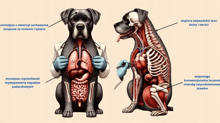 Olej Do michy RelaX CBD 6% dla psa i kota 10ml THC-0% (bezpieczny)