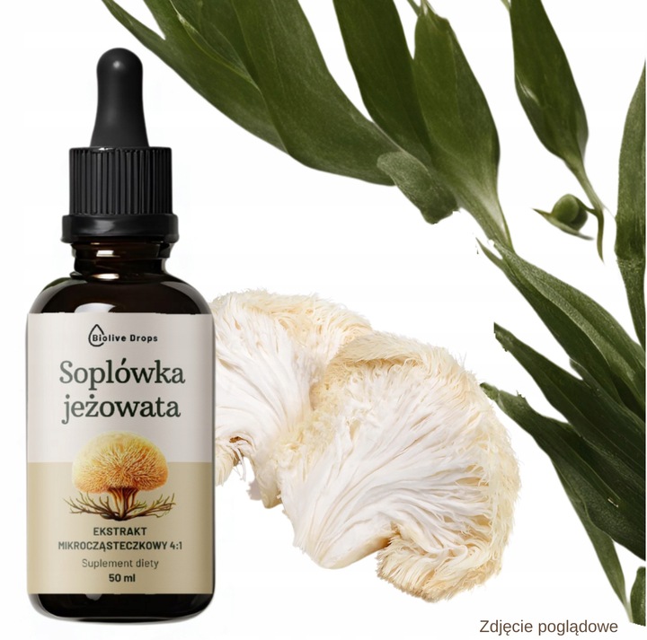 SOPLÓWKA JEŻOWATA KROPLE EKSTRAKT ADAPTOGENY Suplement lion's mane 50 ml