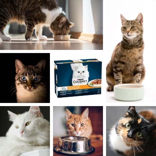 Karma dla kota Gourmet Perle fileciki w sosie (12 x 85 g) x 2 opakowania