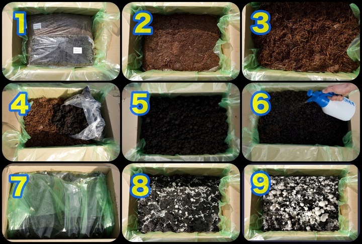 3 Faza Grzybnia Pieczarki Zestaw XL + gratis 6w1