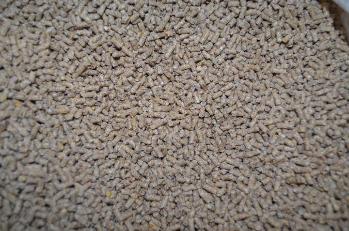 Pasza dla kur niosek granulat NIOSKA 25 kg DJ 2