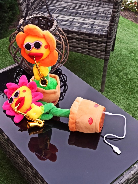 ŚPIEWAJĄCY TAŃCZĄCY KWIATEK z saksofonem SŁONECZNIK JAK KAKTUS