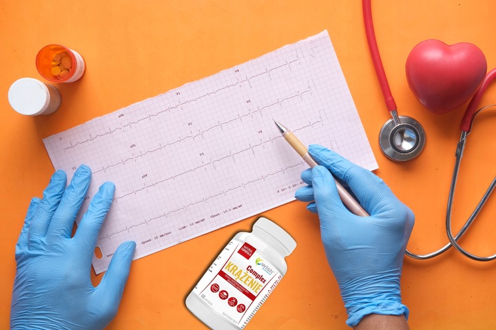 KRĄŻENIE COMPLEX DIOSMINA KASZTANOWIEC 60 KAPS