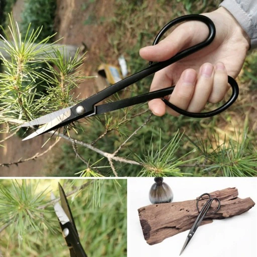 ZESTAW NARZĘDZI DO BONSAI