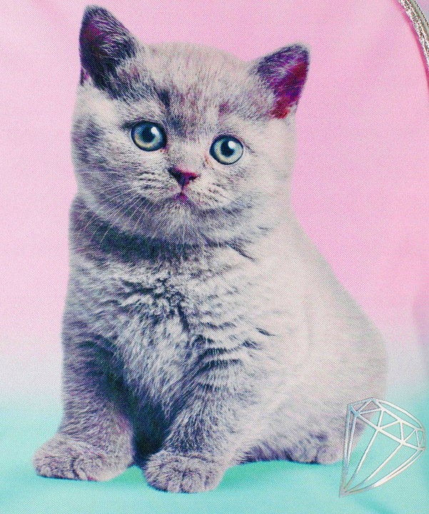 PLECAK SZKOLNY TORNISTER DLA DZIEWCZYNKI KOT KOTEK