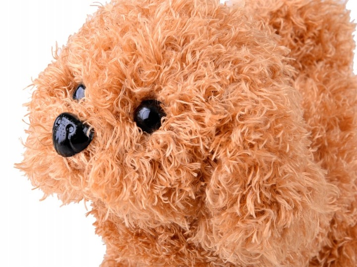 Interaktywny Piesek Zestaw Mały Weterynarz Lekarz