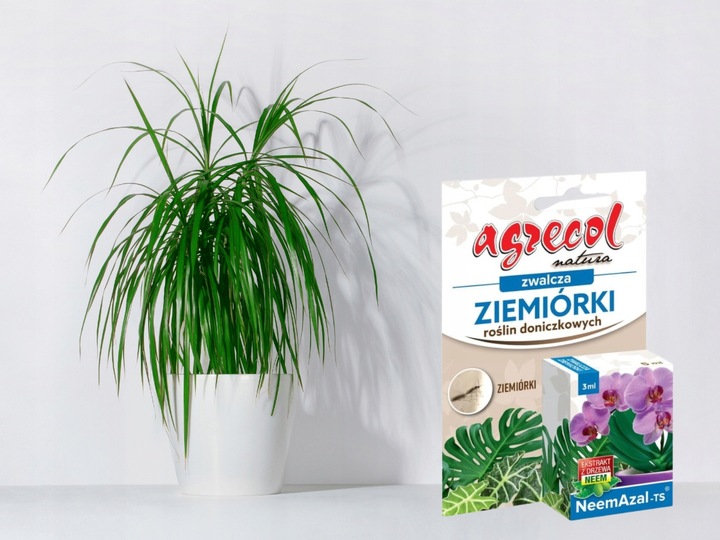 NEEMAZAL TS Owadobójczy 3ml + Żółte lepy 12szt. na Ziemiórki Mszyce